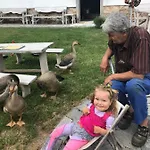 Penzion A Hospoda Na Statku 3*