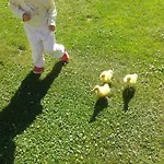 Penzion A Hospoda Na Statku Hluboká nad Vltavou