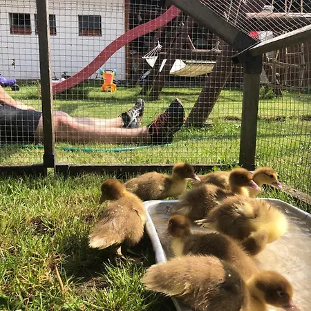 A Hospoda Na Statku Pensjonat Hluboká nad Vltavou