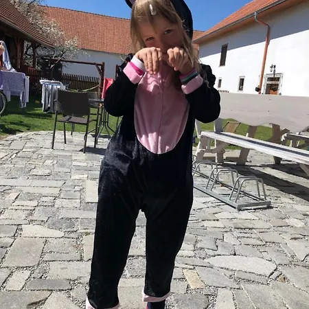 A Hospoda Na Statku Hluboka nad Vltavou