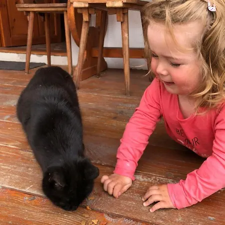 A Hospoda Na Statku Guest house Hluboka nad Vltavou