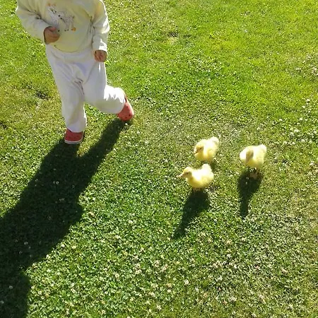 Pensjonat A Hospoda Na Statku Hluboká nad Vltavou