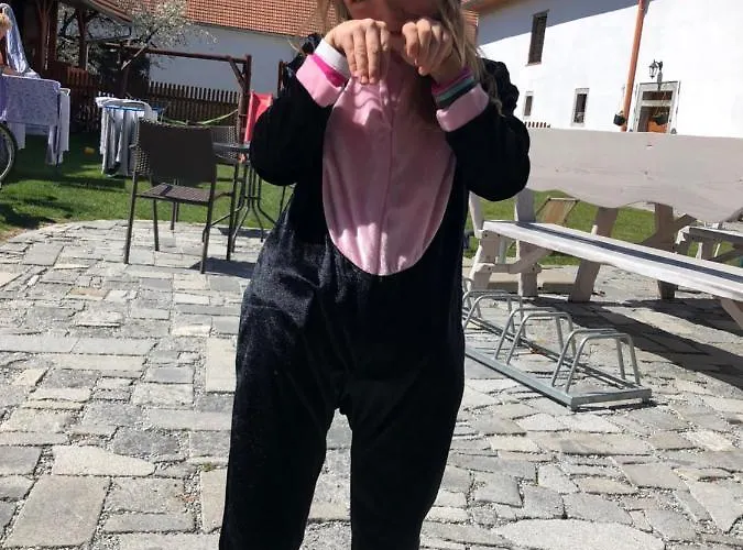 A Hospoda Na Statku Hluboká nad Vltavou